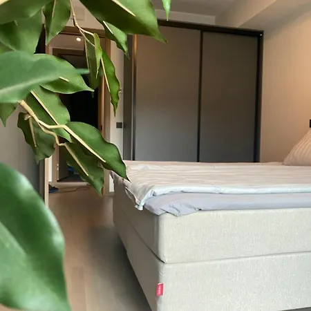 Tonismae Premium With Sauna Apartmán *